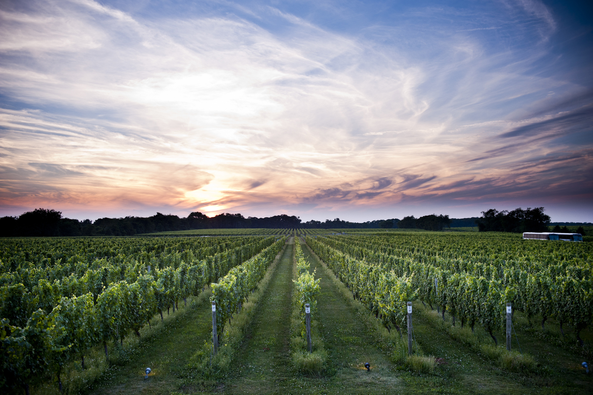 long island winery tours from nyc